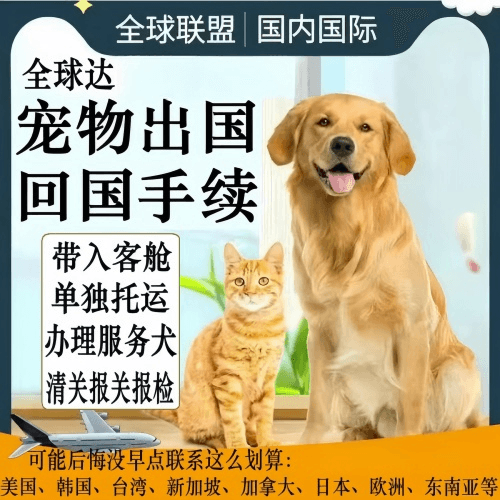 涪陵区宠物托运到柬埔寨宠物入境规定和要求