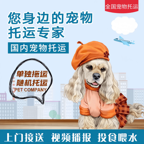 满财涪陵区宠物全球达宠物托运作为专业的宠物运输代理机构
